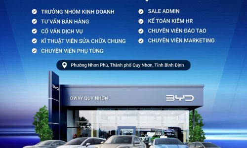 BYD OWAY QUY NHƠN TUYỂN DỤNG