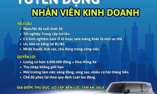 VINFAST VFX TUYỂN DỤNG NHÂN VIÊN KINH DOANH